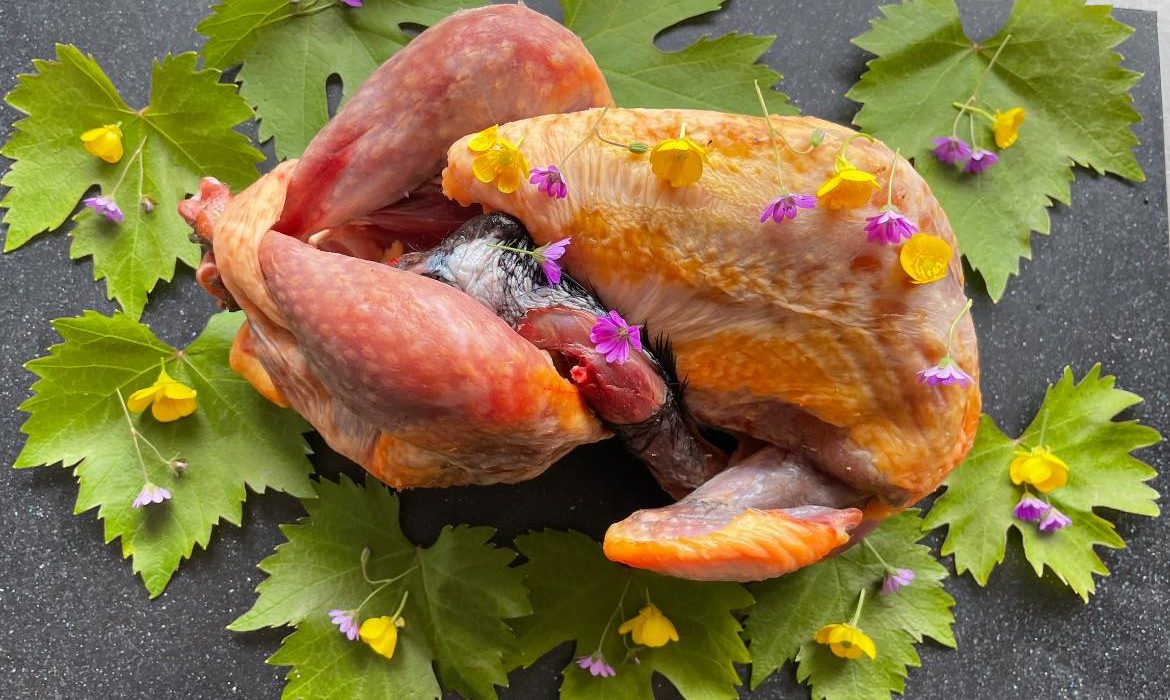 Pintade