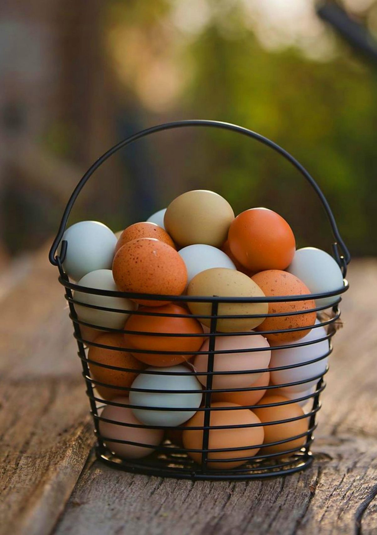oeufs